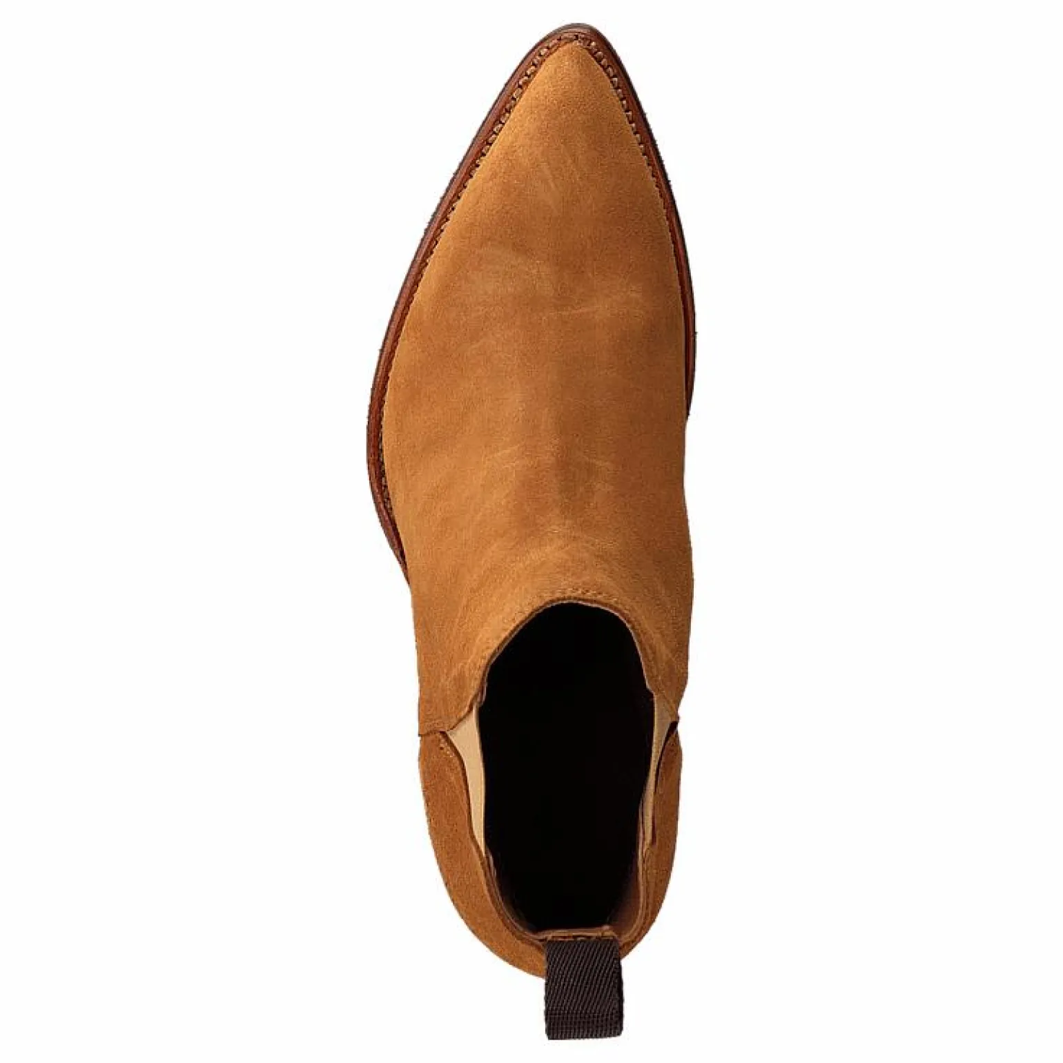 Savannah Low Afelpado Jacinto Elastic