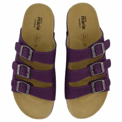 Shell Purple Heart