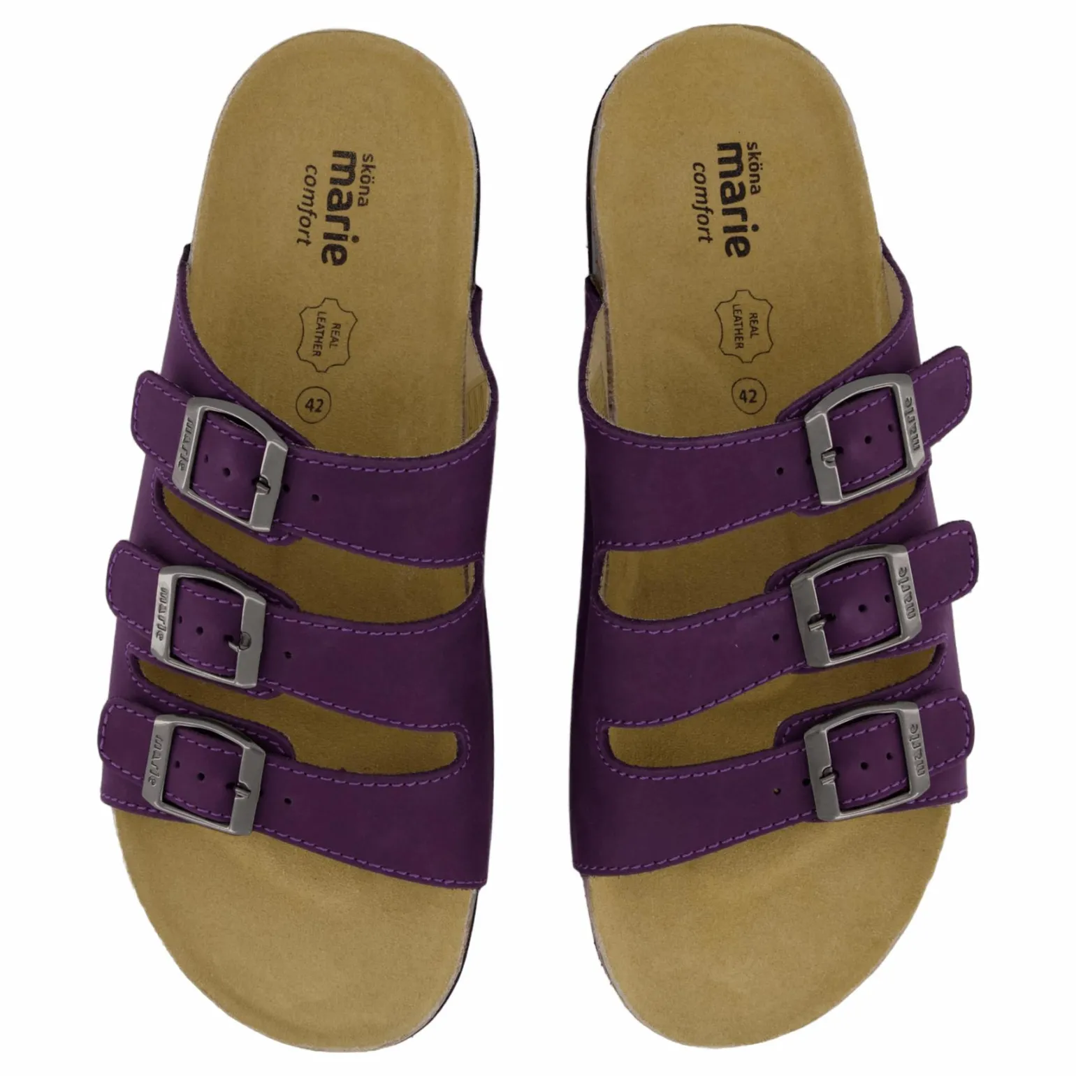 Shell Purple Heart