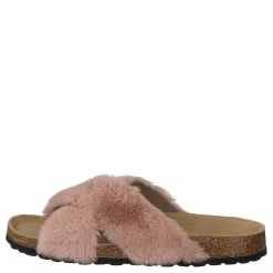 Slipper Rose
