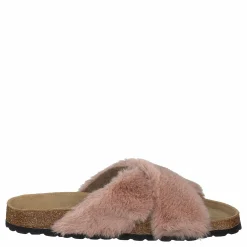 Slipper Rose