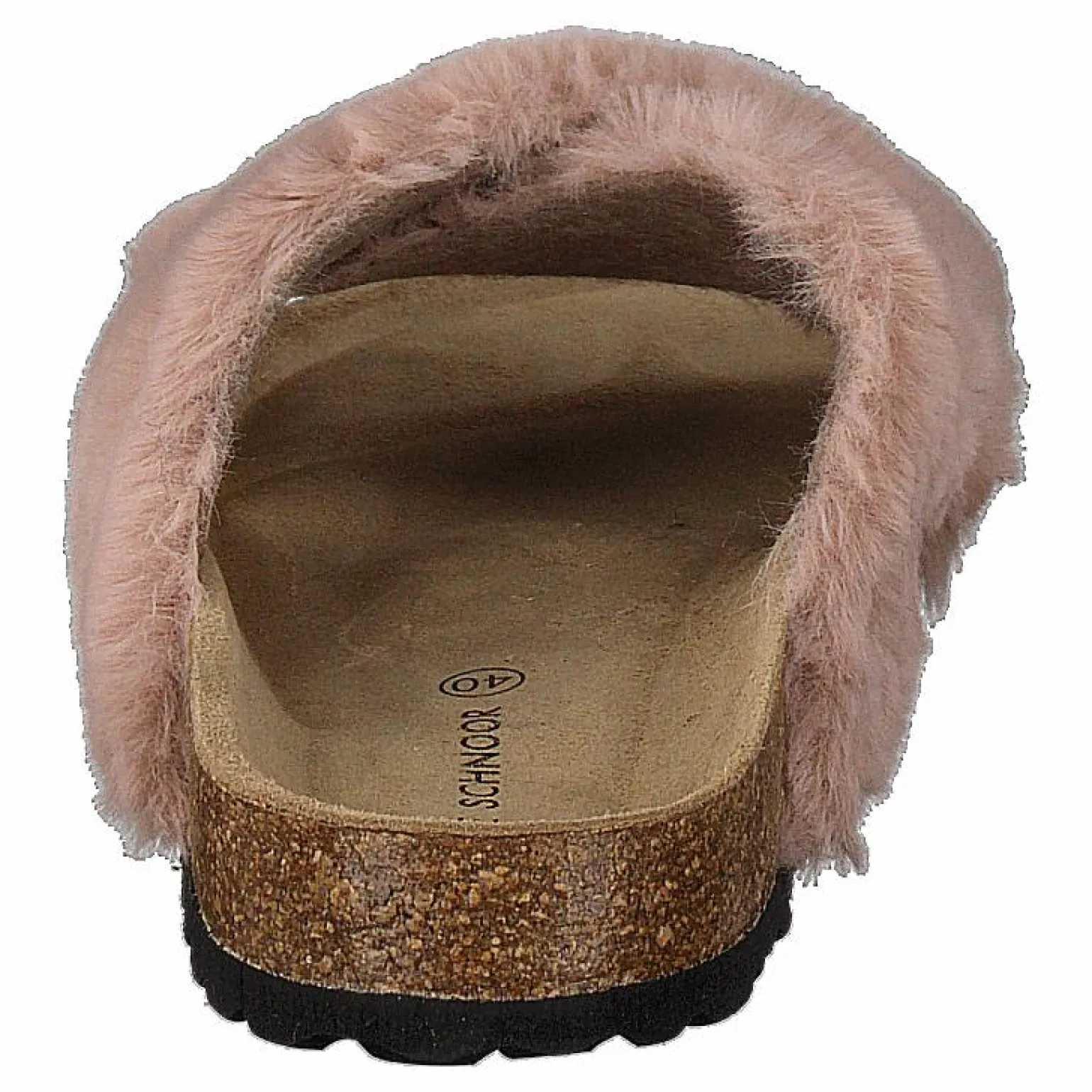 Slipper Rose