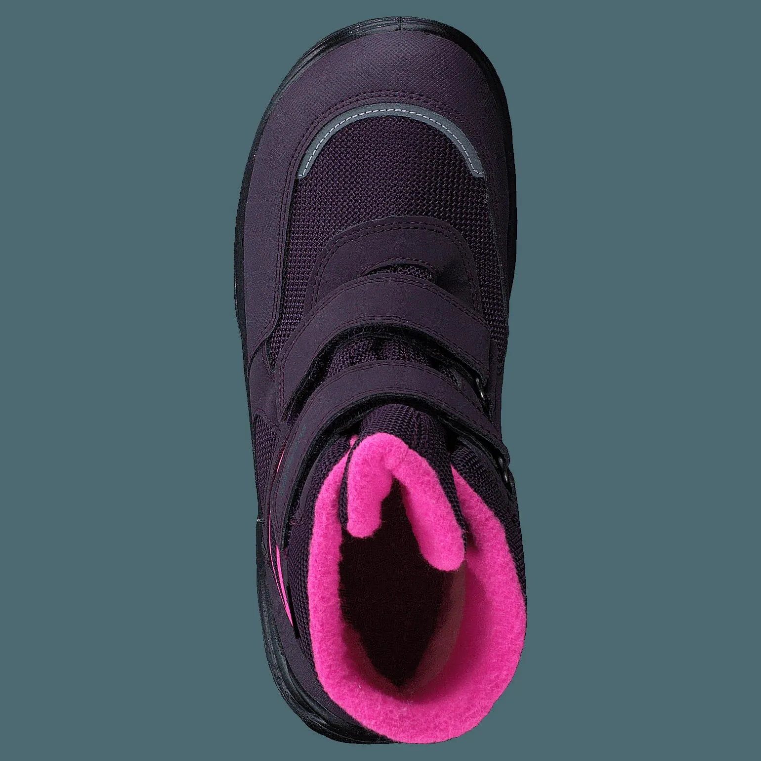 Snowcat Purple