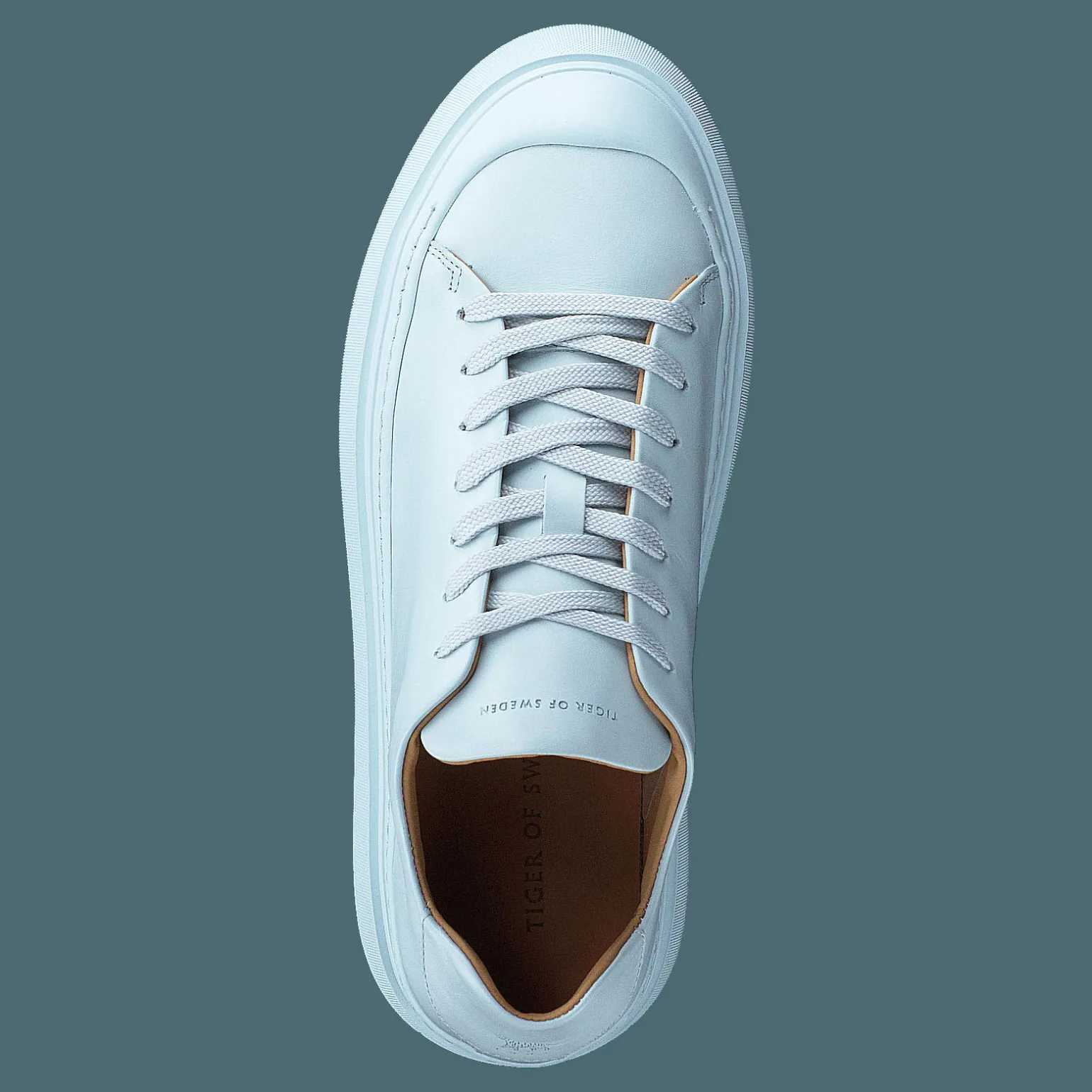 Stam Tw Light Blue