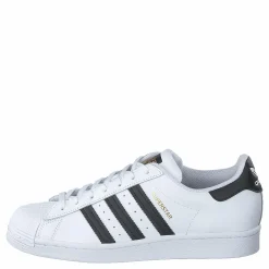 Superstar Ftwwht/cblack/ftwwht