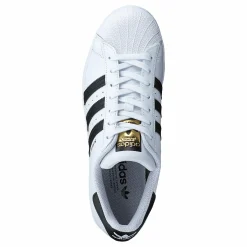 Superstar Ftwwht/cblack/ftwwht