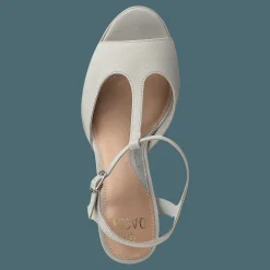 Syringa Grey
