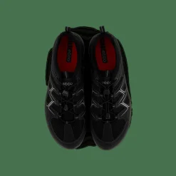 Terracruise Black