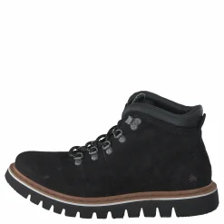 Toronto Black