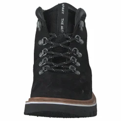 Toronto Black